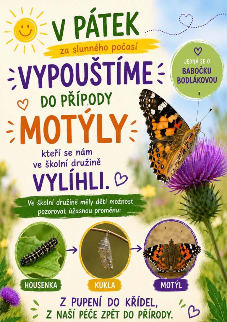 Vypouštíme motýly do přírody
